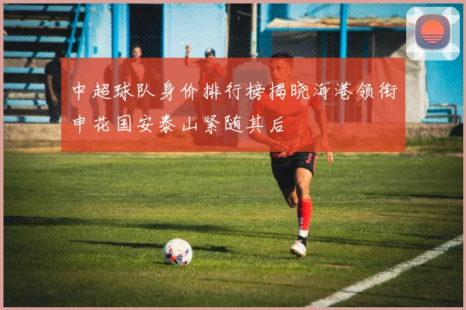 中超球队身价排行榜揭晓海港领衔申花国安泰山紧随其后