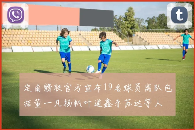 定南赣联官方宣布19名球员离队包括董一凡杨帆叶道鑫李苏达等人