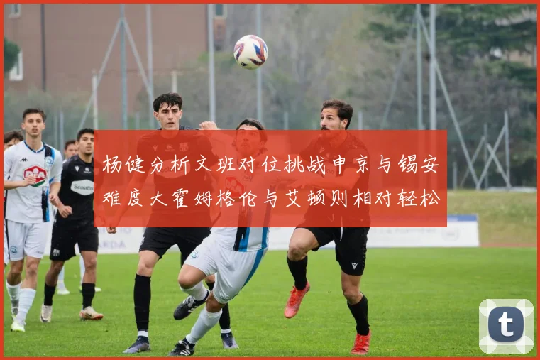 杨健分析文班对位挑战申京与锡安难度大霍姆格伦与艾顿则相对轻松