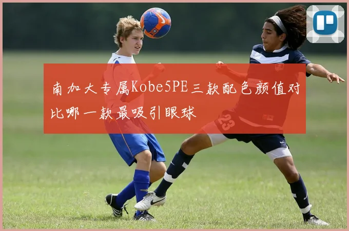 南加大专属Kobe5PE三款配色颜值对比哪一款最吸引眼球